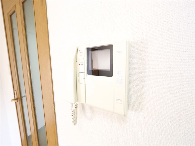 Security. Monitor with intercom