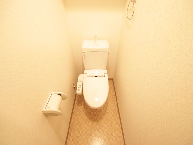 Toilet. With warm water washing toilet seat