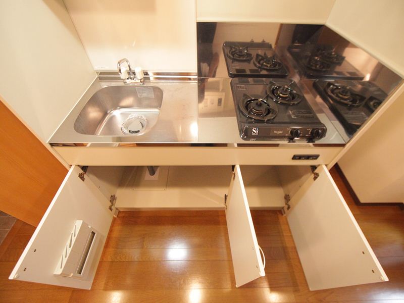 Kitchen. System kitchen (gas two-burner stove)