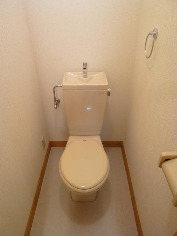 Toilet. Toilet