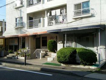 Entrance. Common areas