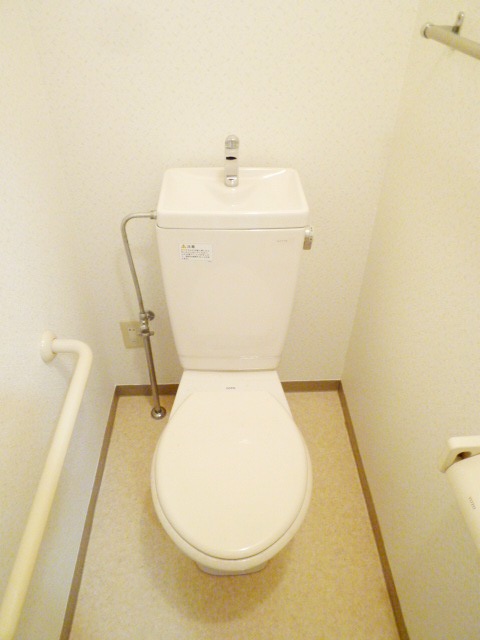 Toilet. Western-style toilet