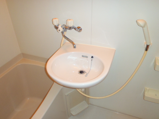 Bath. Wash basin
