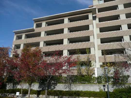 Local appearance photo. Appearance (1)