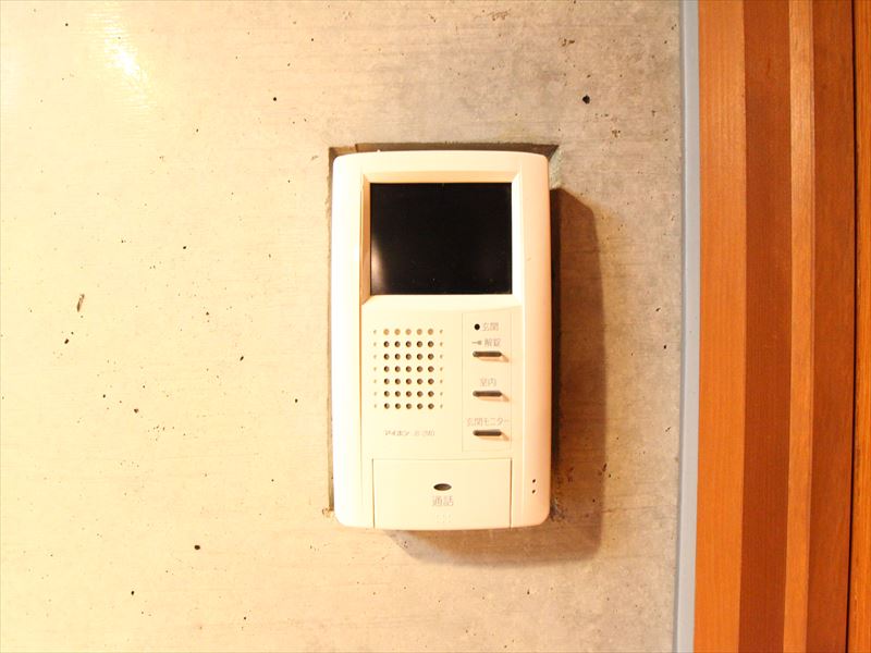 Security. Monitor with intercom