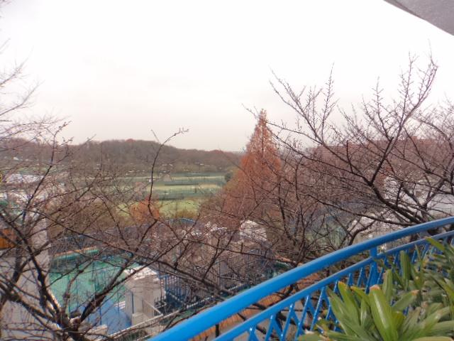 Balcony. Indoor (12 May 2013) Shooting