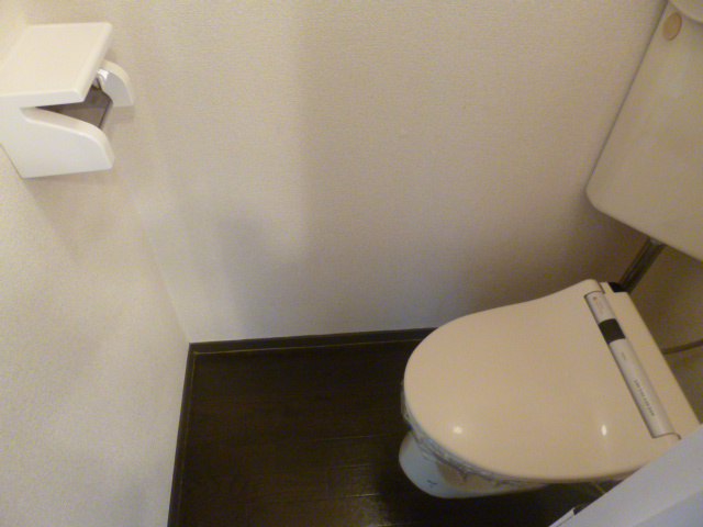 Toilet. Washlet toilet