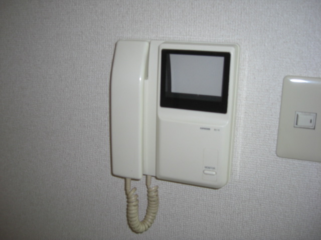 Security. Monitor with intercom