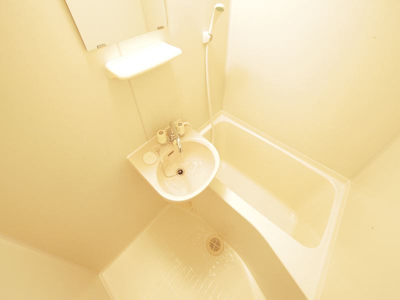 Bath. Bathroom Washbasin