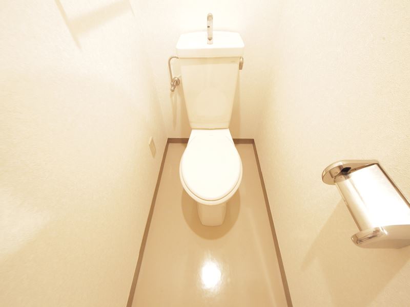 Toilet. Warm water washing toilet seat mounting possible
