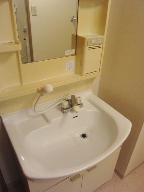 Washroom. Shampoo dresser