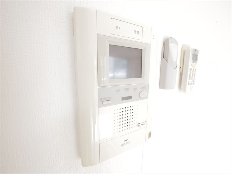 Security. Monitor with intercom