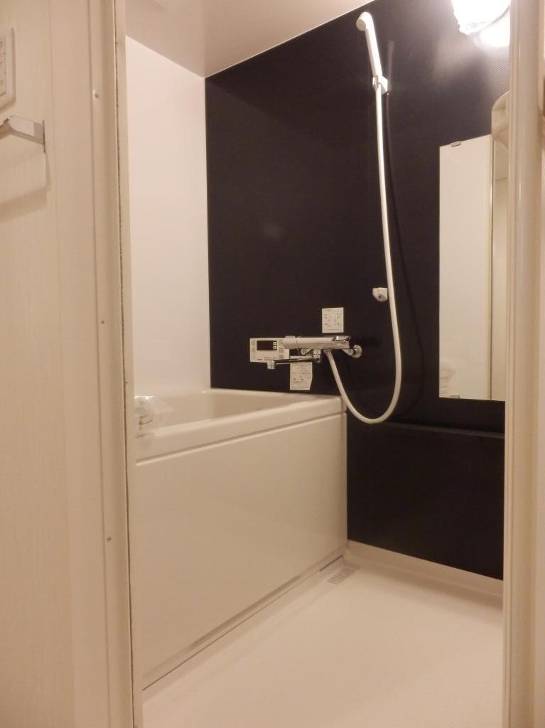 Bathroom. Indoor (10 May 2013) Shooting