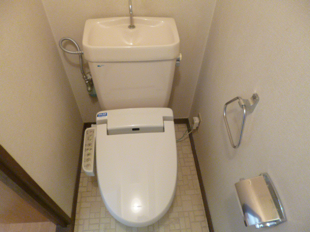 Toilet. Warm water washing toilet