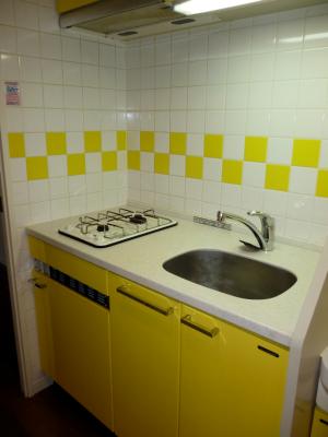 Kitchen. Kitchen is a cute two-burner gas stove mini-fridge!