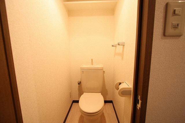 Toilet. We are using a photo of another in Room