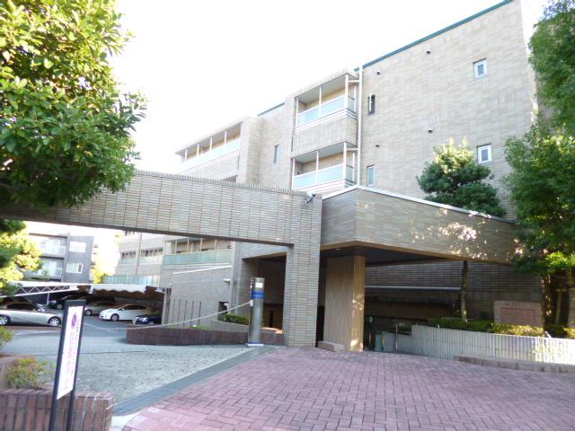 Local appearance photo. Local (11 May 2013) Shooting