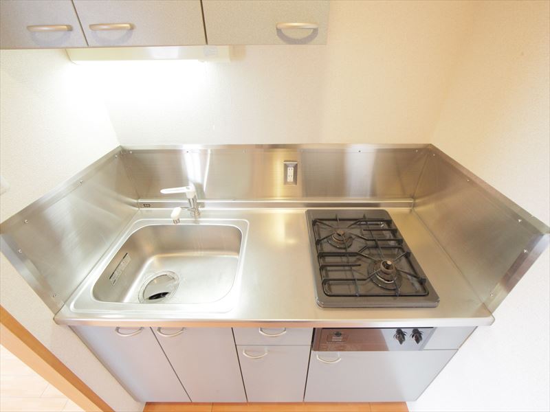 Kitchen. System kitchen (gas two-burner stove)