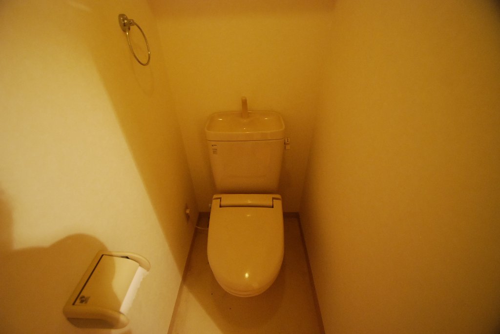 Toilet. Toilet