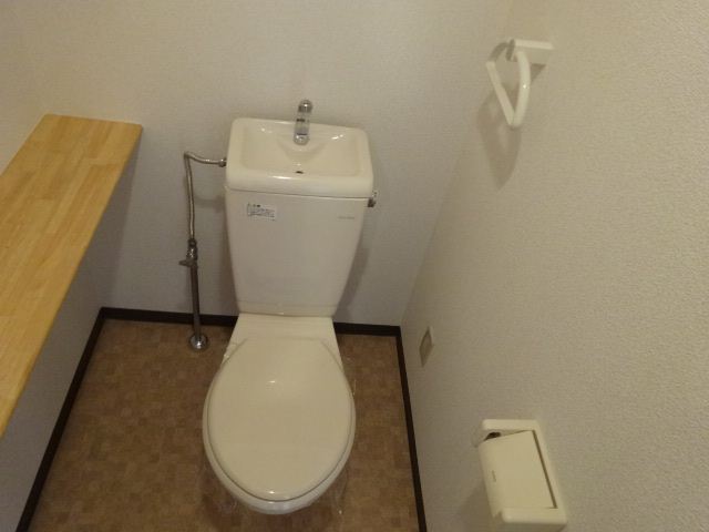 Toilet. There is also a shelf, Beautiful toilet.