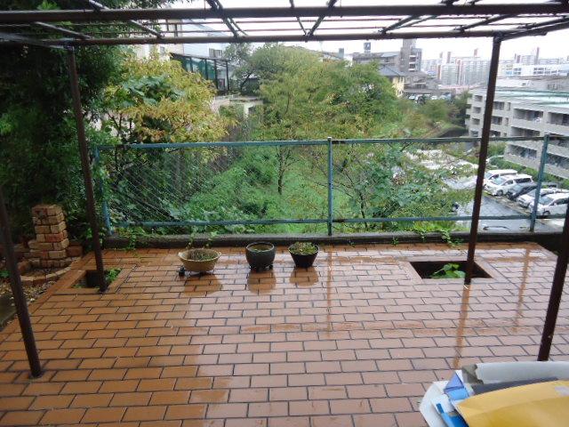 Garden. Local (10 May 2013) Shooting