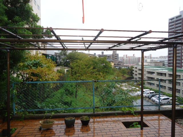 Garden. Local (10 May 2013) Shooting