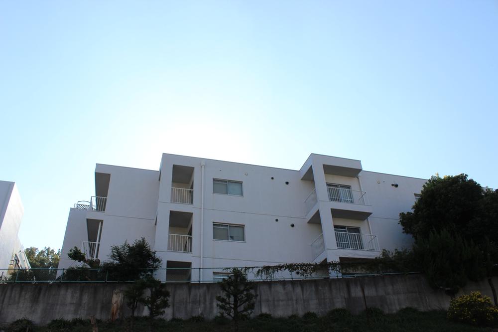 Local appearance photo. Local (11 May 2013) Shooting