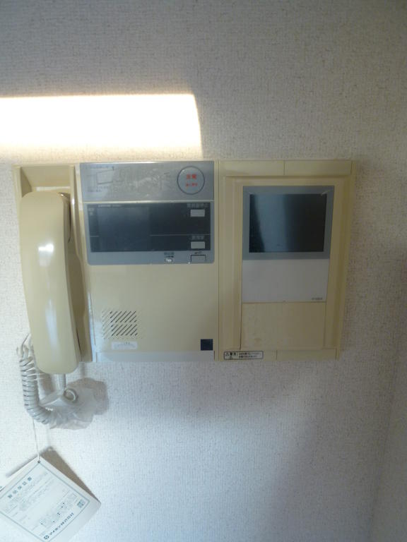 Security. Intercom with TV monitor