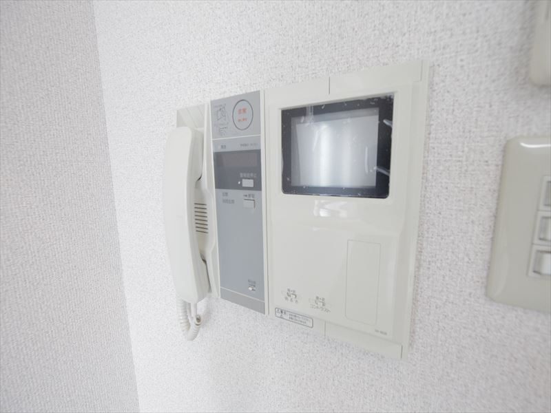 Security. Monitor with intercom