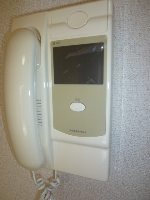 Security. Interphone with a monitor