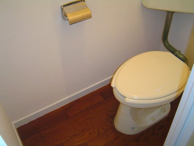 Toilet
