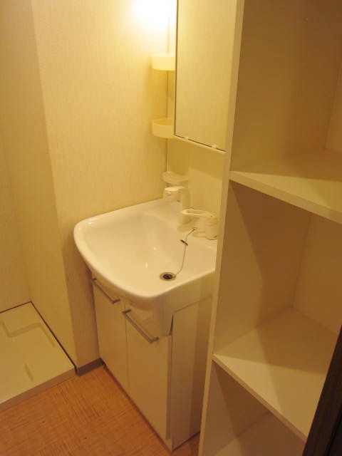 Washroom. Shampoo dresser