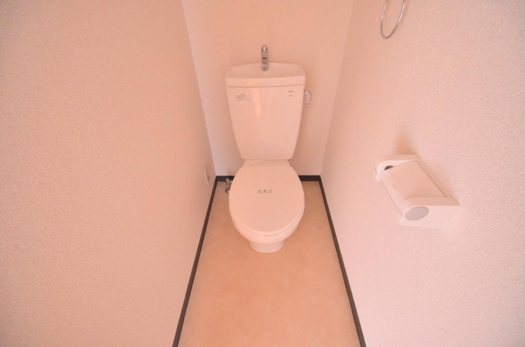 Toilet. Toilet