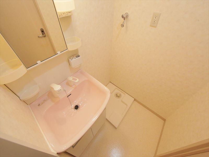 Washroom. Shampoo dresser type Dressing room Washing machine in the room