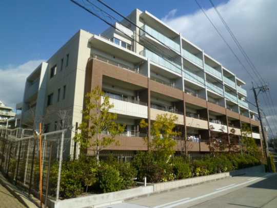 Local appearance photo. Appearance (1)