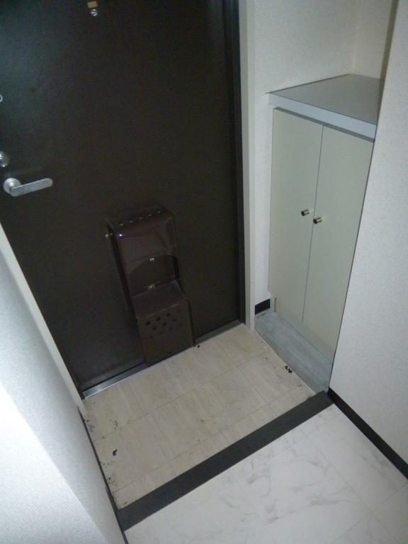 Entrance. Entrance Shoe box
