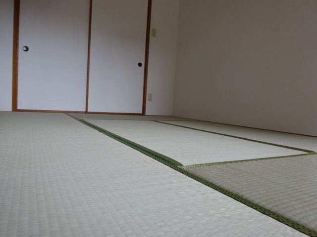 Living and room. There is also a room of calm Japanese-style room