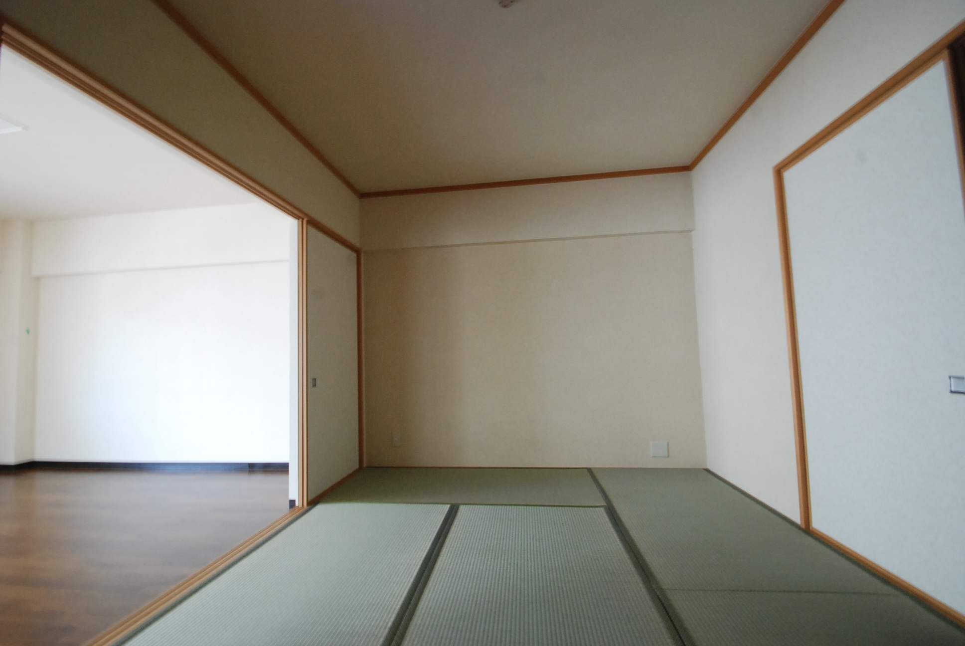 Living and room. Japanese style room