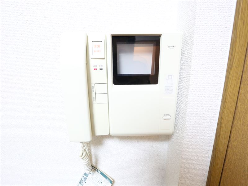 Security. Monitor with intercom