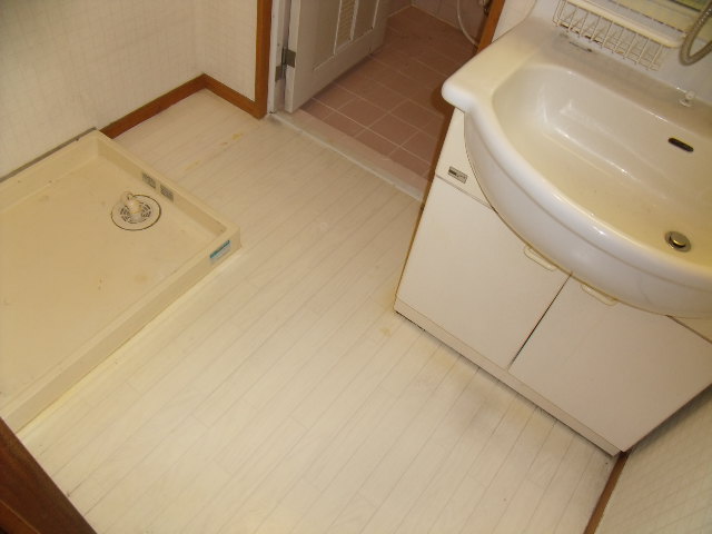 Washroom. Laundry Area