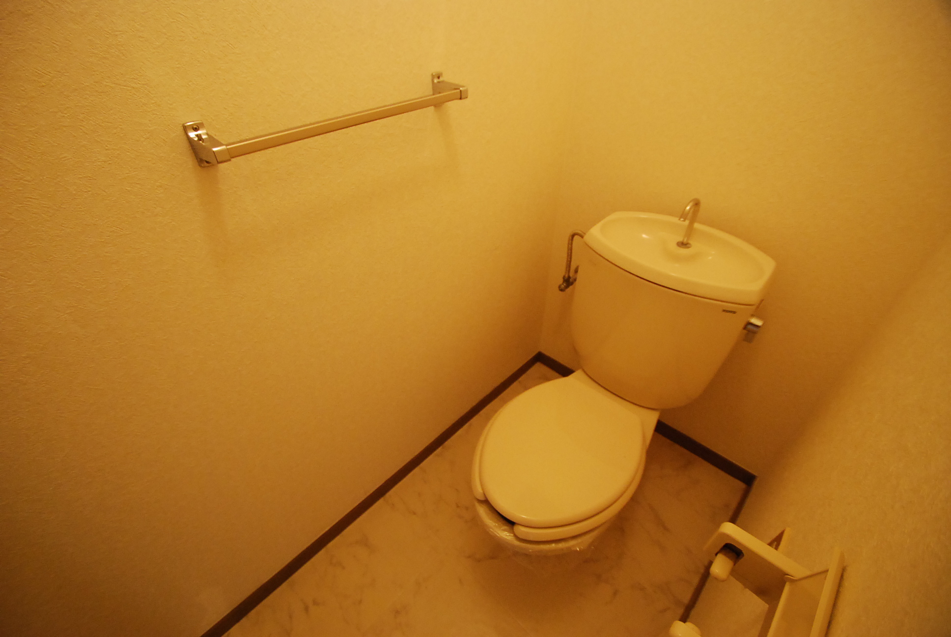 Toilet. Toilet