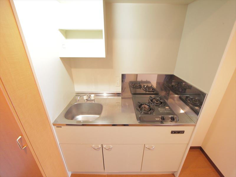 Kitchen. System kitchen (gas two-burner stove)