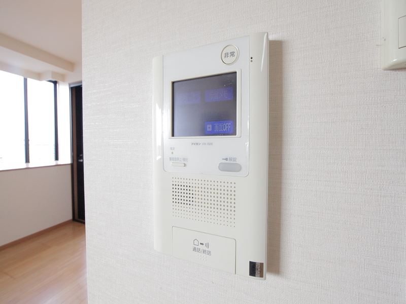 Security. Monitor with intercom