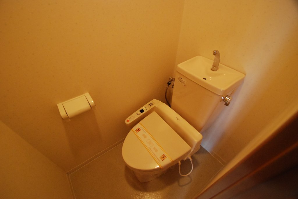 Toilet. Toilet