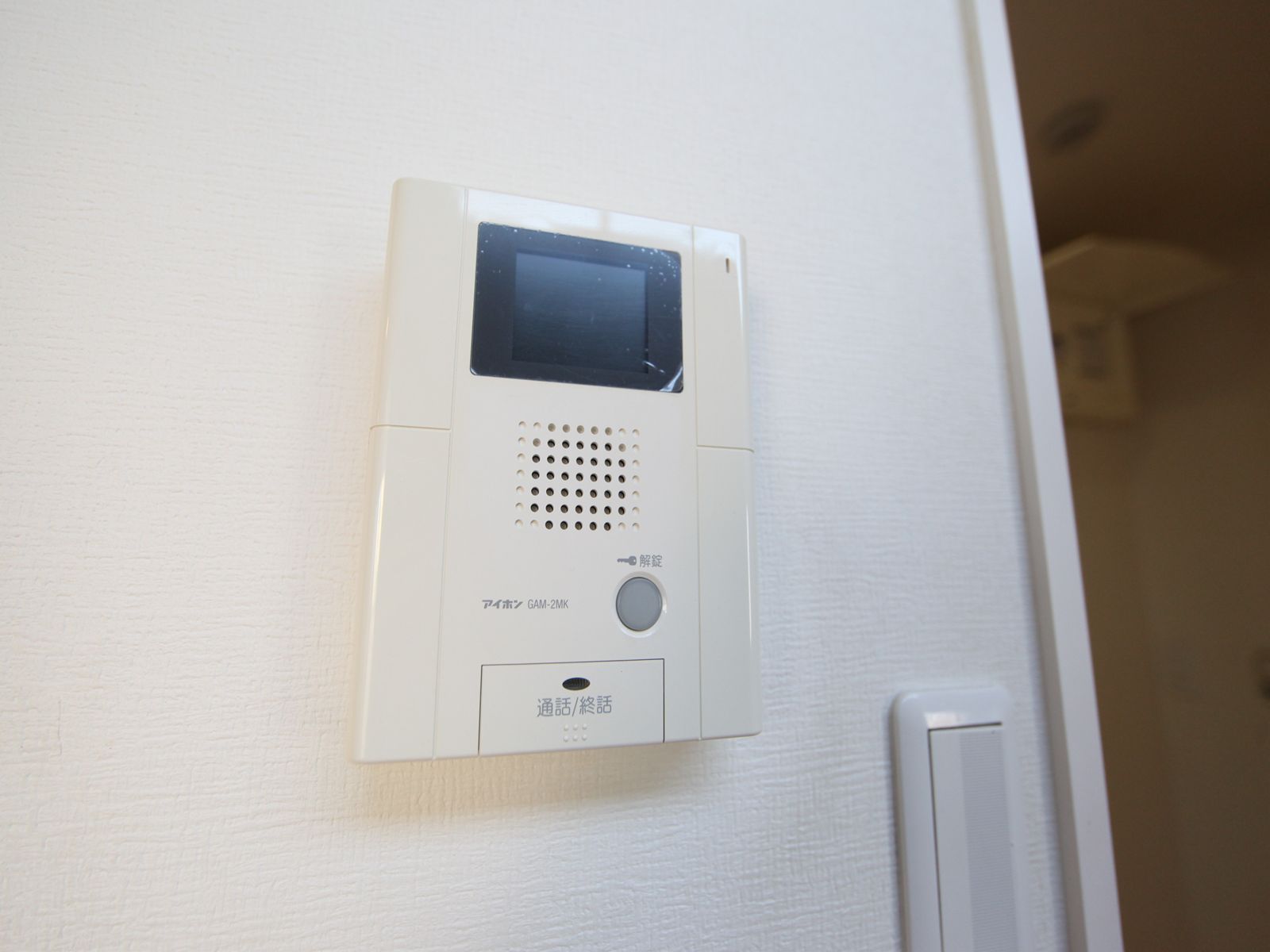 Security. Intercom with TV monitor