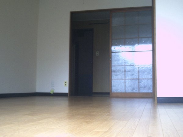 Living and room. Living