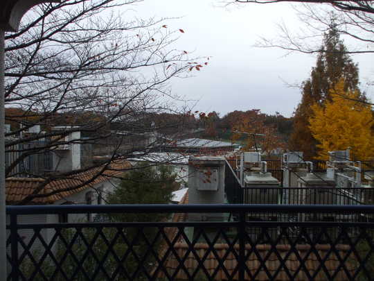 View photos from the dwelling unit. A quiet residential area