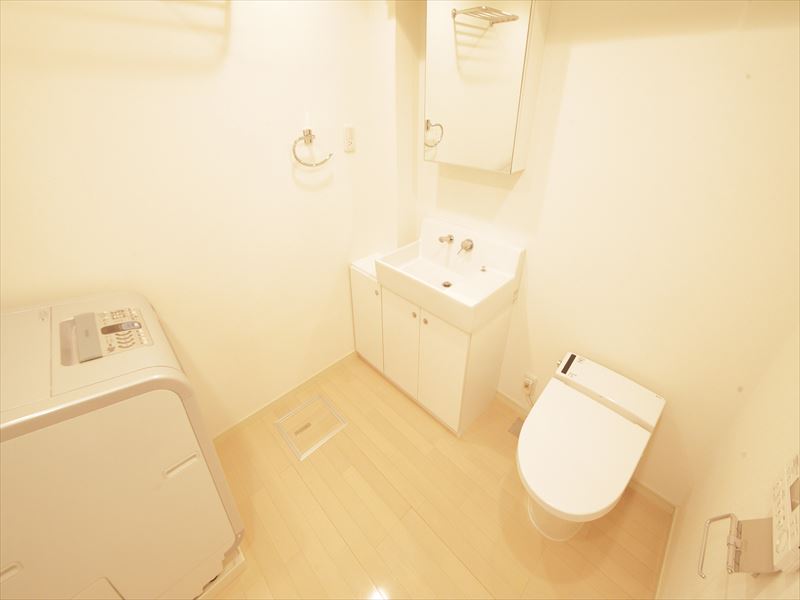 Washroom. Same apartment separate room image image