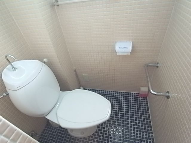 Toilet. Clean toilet tiled floors.