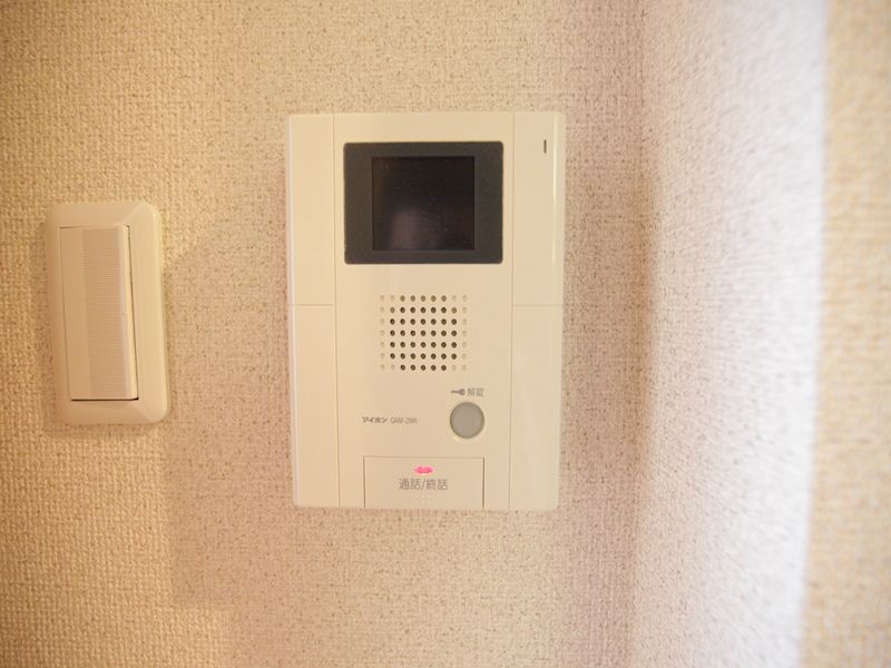 Security. Monitor with intercom